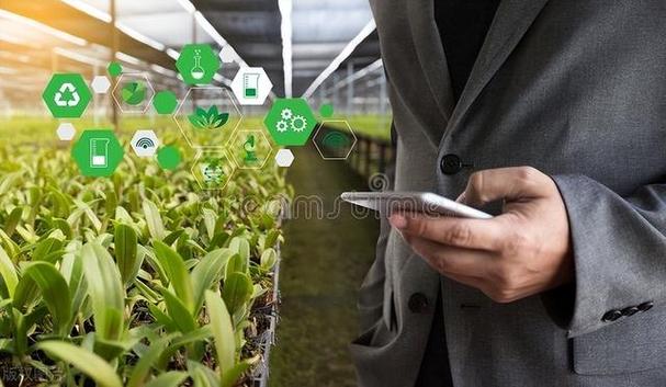 功能农业的核心是利用生物技术手段,使农产品在生长过程中自然地富集