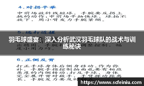 羽毛球盛宴：深入分析武汉羽毛球队的战术与训练秘诀